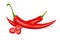 Red hot sliced chili pepper. Realistic style vector illustration.