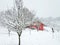 Red house and frozen trees under white snow - village Milanovac at winter, Croatia