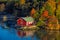 Red house on rocky shore of Ruissalo island, Finland