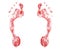 Red human footprint white background isolated closeup, bloody foot print pattern, barefoot footstep silhouette illustration, feet
