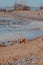 Red hunting vizsla dog in yellow jumpsuit on beach