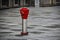 Red hydrant standing on city gray tiled square