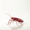 Red Insect On White Surface: A Pieter Hugo-inspired Cricket In Volumetric Lighting