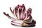 Red italian radicchio chicory