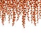 Red ivy branches flat vector illustration. Creeper twigs with orange and brown leaves border isolated on white