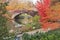 Red Ivy on Central Park Bridge