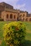 Red Ixora Plant in Golkonda Fort