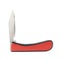 Red jackknife foldable pocket knife isolated