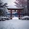 A red Japanese torii is in front of a lake.