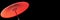 Red japanese umbrella on panoramic black background