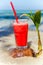 The red juice stands on a fallen coconut in the sea.