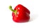 Red, juicy bell pepper with a stalk on a white background