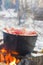 Red juicy crayfish are boiled in a pot over the fire