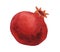 Red juicy pomegranate.