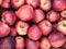 Red, juicy, ripe apples top view. A lot of clean, neat fruit on sale at the market