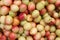 Red Jujube backgrounds. Fresh and delicious Indian jujube fruits, Chinese date