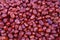 Red Jujube Fruits, texture