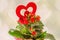 Red Kalanchoe flowers with red heart shape, light hearts background, close up.