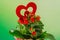 Red Kalanchoe flowers with red heart shape in a red flower ceramic pot with bow, green degradee background, close up