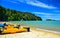 A red kayak on the beach of the Abel Tasman National Park. New Zealand, South Island