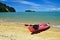 A red kayak on the beach of the Abel Tasman National Park. New Zealand, South Island