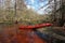 Red kayak on Fisheating Creek, Florida.