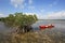 Red kayak tied to Mangoves on the Turtle Grass flats of Biscayne National Park, Florida.