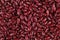 Red kidney beans (Red rajma, Kidney bean)