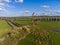 Red Kites soar above the Welland Valley with the backdrop of the Welland Valley viaduct in the UK