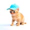 Red kitten in blue baseball cap on white background