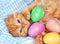 Red kitten with Easter colored eggs