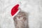 Red kitten in Santa Claus hat sleeps on a white fluffy carpet