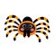 Red Knee Tarantula animal cartoon character vector illustration