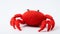 Red Knit Crab Toy On White Background