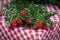 Red Kokina Flower Butcher`s Broom Christmas arrangements with green leaves, red berries. Shepherdia argentea, Cowberry berry