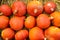 Red Kuri Pumpkins on Hay