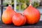 Red kuri squash