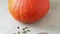 Red kuri squash, seed and pumpkin oil close up
