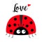 Red lady bug ladybird icon. Love greeting card with heart. Happy Valentines Day. Cute cartoon kawaii funny baby character. Flat