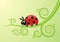 Red ladybird