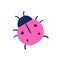 Red Ladybug icon