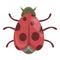 Red ladybug icon cartoon vector. Ladybird beetle