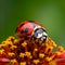 Red ladybug on red flower AI generated