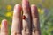Red ladybug walks on girl's fingers
