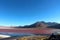 Red Lagoon Bolivia