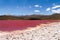 Red lagoon. Laguna Roja, Altiplano Chileno