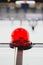Red lamp signal - hockey rink