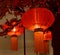 Red lantern Chinese New Year