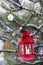 Red lantern hanging on fir branch