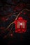 Red Lantern Swinging in Starry Night Sky